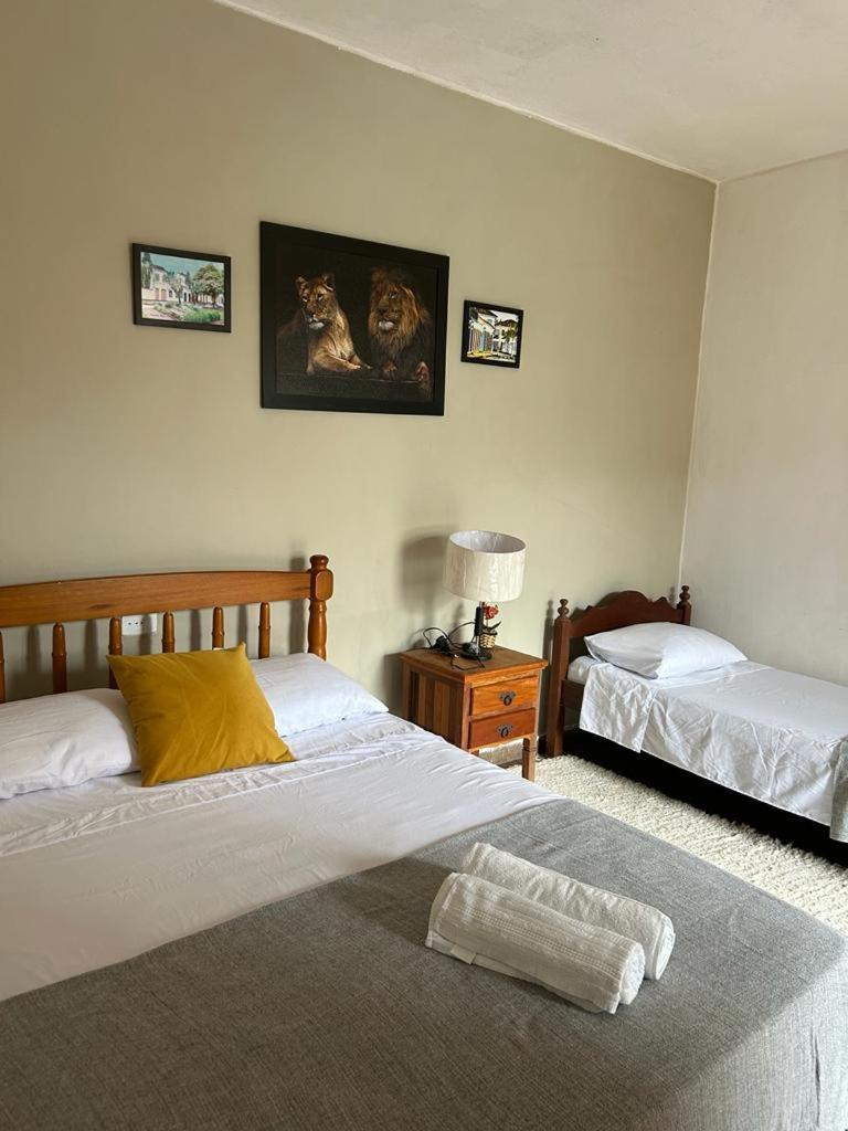 Suite Presidencial Terrea Araquari Exterior foto